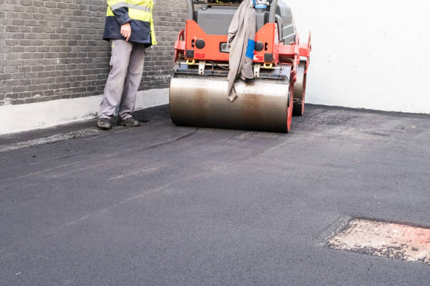 Why Choose Us For All Your Driveway Paving Needs in Livingston, TX?